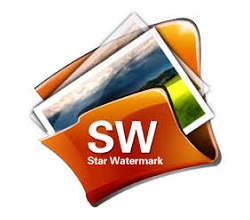 Logotipo da chave serial profissional Star Watermark