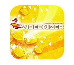 Videonizer Platinum Crack